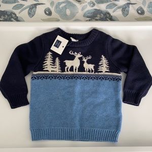 Janie and Jack Sweater